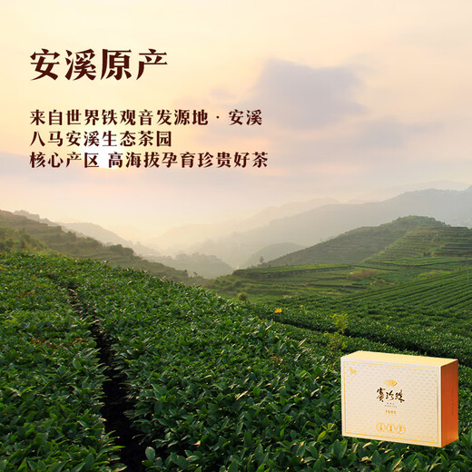 Bama Tea Oolong Tea Sai Pearl 1000 Tieguanyin Strong Fragrance Special Grade 250g Gift Box Tea for Gifts