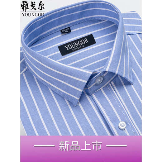 CEO雅戈尔长袖衬衫男士2024春秋款纯棉免烫中年休闲高端条纹正装衬衣 长袖6623 38 建议【70-95斤】