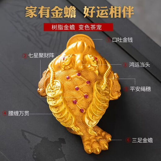 Qingtianwenyue creative tea pet ornaments to attract wealth, color-changing golden toad, three-legged color-changing tea set, tea table, tea tray, tea ceremony accessories, tea toy, solid, solid large golden toad (turns golden, about 13cm long)
