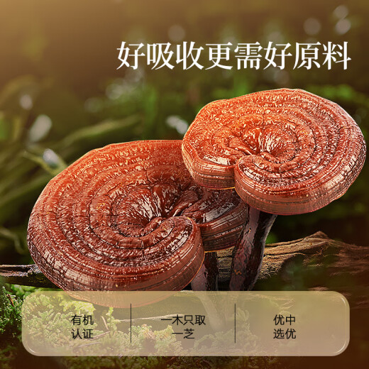 总统品牌 北京同仁堂破壁灵芝孢子粉胶囊120粒增强免疫力端午节礼品