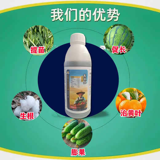 德国进口原料硼锌铁钙镁果树蔬菜微量元素草莓果树葡萄水溶叶面肥 全元素叶面肥1300g