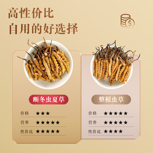 Shanwei Cordyceps sinensis 1g Grass Broken Hergle lyophilisé High-Clean Cordyceps sinensis à haute altitude auto-utilisation abordable (5-7 pièces 1 gramme)