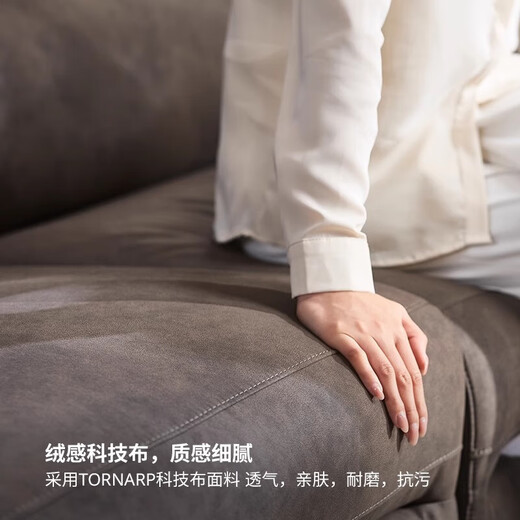 IKEA (IKEA) RULLERUM living room furniture technology cloth electric sofa double sofa with electric recliner