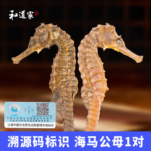 和道家 海马3g 三斑海马公母一对 礼盒装一公一母正品泡酒/煲汤药材滋补