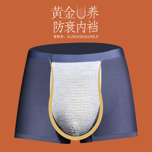 Roman Century's Father Day Box Regal Ratsen Ginseng Mantenimiento Inner Boxer de color acero inoxidable modal transpirable sin aliento