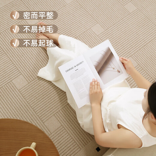 关东宜家客厅地毯2025新款侘寂风房间家用可擦洗地垫卧室床边地毯 方黎-16788 200cm*340cm 【黄金厚度】