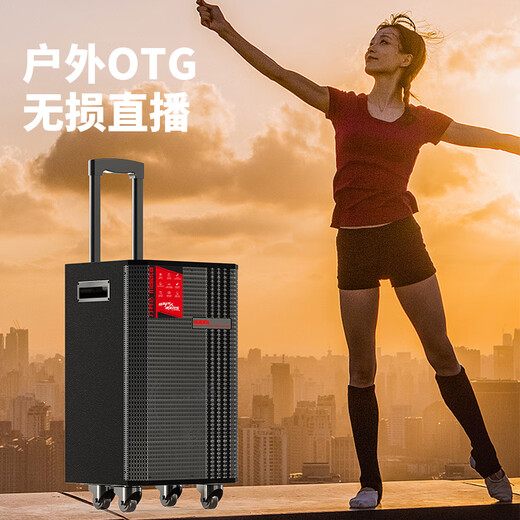 Malata M+9296 outdoor electric acoustic guitar folk singing instrument speaker square dance performance audio wireless Bluetooth home trolley speaker 12-inch OTG lossless live broadcast