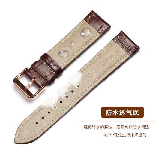 CASTLEKNIGHT格雅真皮表带小牛皮针扣表链适配 6193/8199/6211/6205/6205皮链 棕色+玫色针扣 24mm