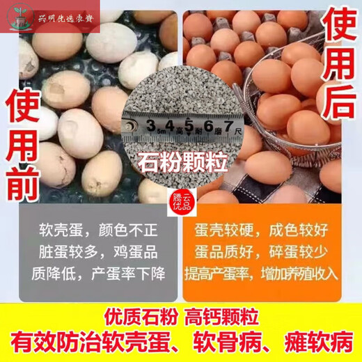 Feed grade calcium supplement stone powder rice egg egg duck egg poultry special calcium supplement feed raw material premix additive calcium supplement for eggs and poultry feed grade stone powder high calcium stone grains/9.1