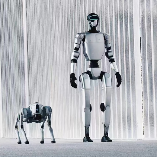 Su Mengmeng Robot Intelligent Ai гуманоидный диалог -робот Dog G1 Go2 Humanoid, выполняющий домашнюю домашнюю домашнюю домашнюю няню, сопровождающую рабочую машину, робот, робот, робот, робот, робот, робот, робот, робот с двойной ловкостью
