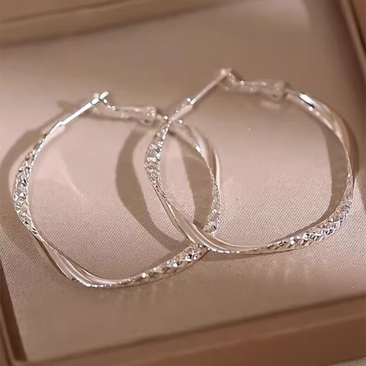 S925 Silver Needle Large Circle Earrings Feminine and High-end Earrings 2025 New Hot Style French Internet Celebrity Earrings for Women Large Circle Earrings Feminine and High-end Earrings