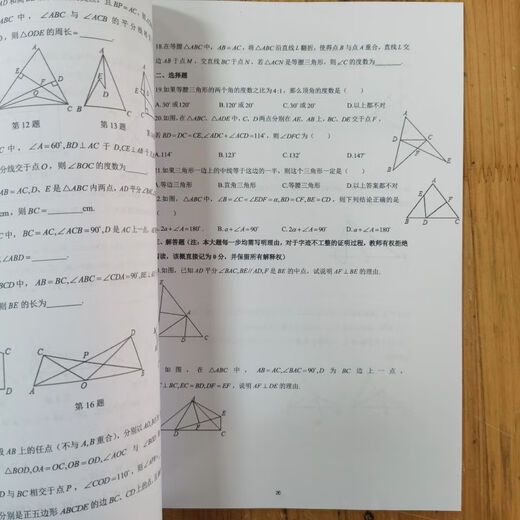 沪教版新上海华育中学初中数学周爽678年级上下学期带视频讲解 七年级下册平行班周爽含电子版答案视频