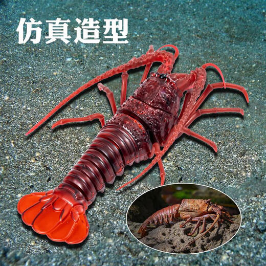 创意遥控小龙虾螳螂发光仿真电子宠物动物模型儿童整蛊搞怪玩具 经典版-遥控瓢虫红色款9922+螺丝 官方标配
