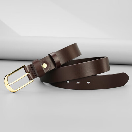 牛当家不锈钢扣皮带男针扣真皮腰带头层牛皮商务百搭高档裤带 金色扣3291咖色 125cm 39-40码/腰围3.2-3.3尺