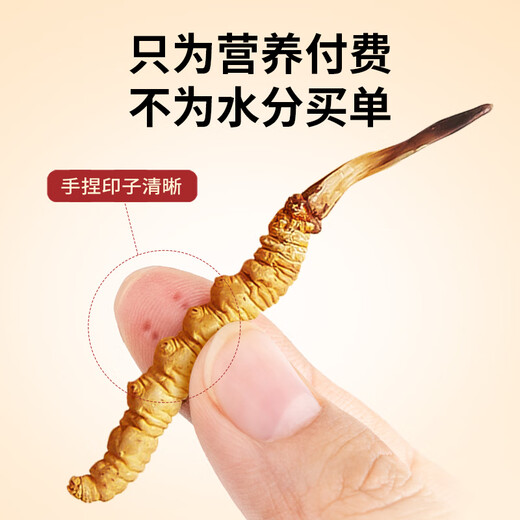 Tongfu Cordyceps Sinensis 2 Roots/G 20g 40 Корни подарочная коробка, питательные пищевые добавки, подарки для старейшин