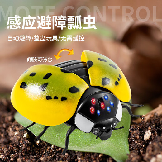 电动感应瓢虫玩具儿童整蛊遥控会动昆虫爬虫动物男孩女孩网红仿真 经典版-遥控蜈蚣黄黑款9901+螺 官方标配