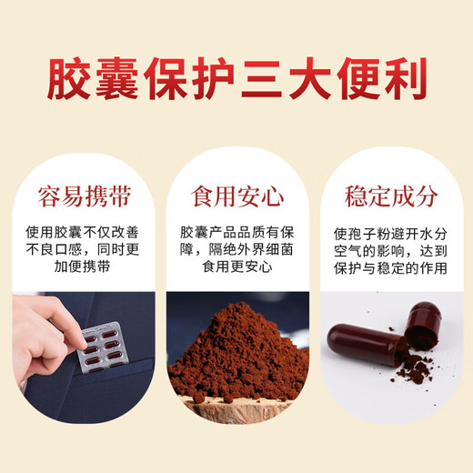 敖东破壁灵芝孢子粉胶囊 0.2g*48粒 增强免疫力老年人营养品保健品 【激活免疫】破壁灵芝孢子粉胶囊 48粒*1盒