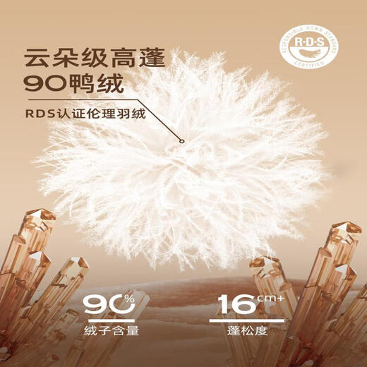 Yalu Short Down Jacket Women's 2025 Autumn and Winter New Removable Hood Graphene Full Back Heat Storage Warm Fashion Jacket