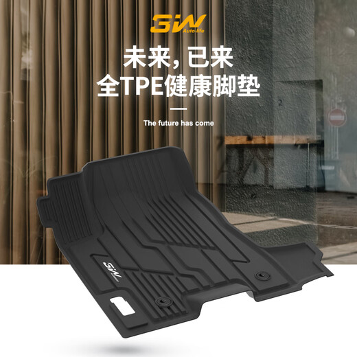 3W AUTO-LIFE全TPE脚垫适用别克GL8-ES陆尊653T 652T胖头鱼豪华商务羊毛脚垫 GL8 652 前排脚垫（12-25款）