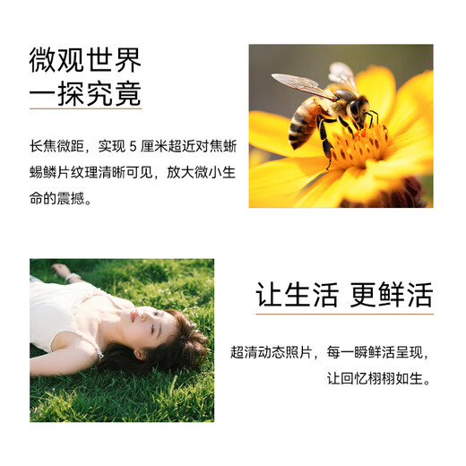 Huawei (HUAWEI) National Subsidy Pura 80 Pro One-inch main camera Personalized color card AI assisted composition Supports Hongmeng 6.0 Huawei Hongmeng smartphone SJ31A Glaze black 12GB+256GB Official standard configuration