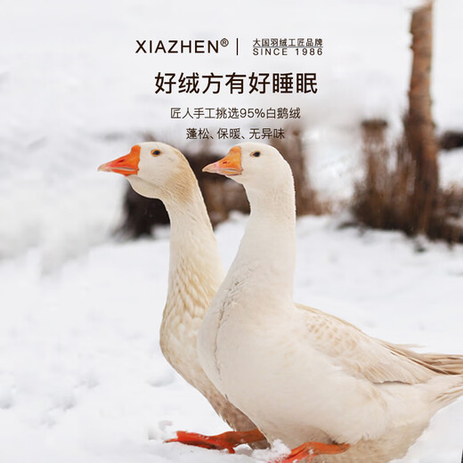 霞珍【羽绒被】95%白鹅绒被芯 5A级80支全棉抗菌鹅绒被 轻盈保暖被子 5A级标准冬被-抗菌升级 150cm*200cm