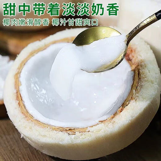 Thai Perfume Green Coconut Fresh Coconut Peeled Milk Fragrant Green Coconut Single Fruit 900g Large Fruit 6 Pieces (Recommended) Sweet and delicious, full of milky flavor