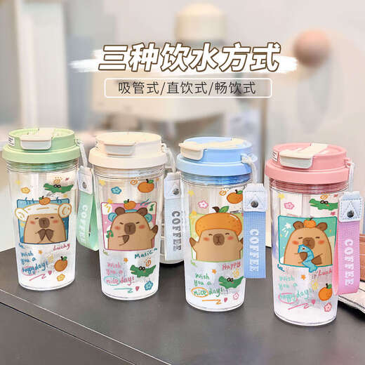 Chengliu Cartoon Kapibala Wasserbecher tragbar im Sommer Neukessel für Männer und Frauen Strohhalm mit großer Kapazität mit hoher Value -Grün - Lilie des Valley PC Water Cup - HST3893 Capybara + Matching PC