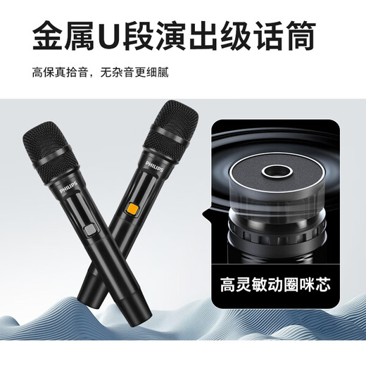 Philips outdoor stage high-power square dance audio mobile portable trolley commercial conference speaker wireless Bluetooth high volume karaoke amplification with dual microphones SD170MAX 12-inch bass + dual microphones