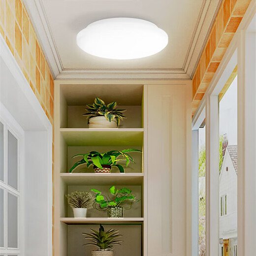 Philips LED ceiling light ultra-thin three-proof balcony light bedroom aisle simple corridor light Hengyan insect-proof and mosquito-proof 24W Zhongguang