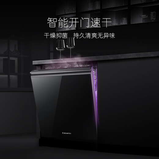 Casarte CWY15-29BKU1 dishwasher