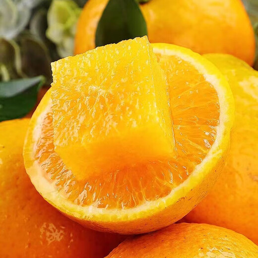 【热卖】正宗秭归脐橙新鲜采摘 湖北橙 带箱1斤