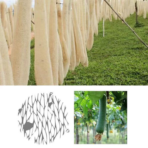 Pure natural hard loofah, dishwasher and pot scrubber, non-stick, oil-free, no trace kitchen cleaning thickened loofah 5 pcs