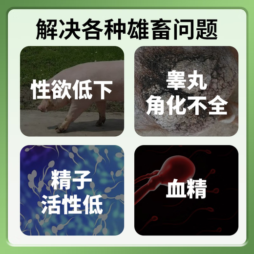 Breeding boar multi-dimensional feed premix supplements vitamin nutrition to improve sperm breeding rate and extend service life 1kg/bag