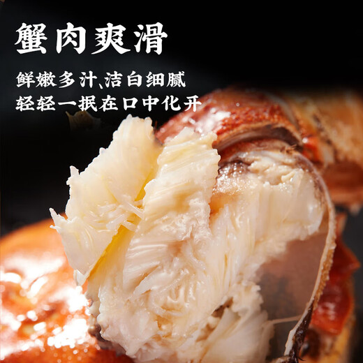 [Certificado de regalo] Yang Cheng Zhuangyuan Cangrejo peludo Certificado de regalo Cardador de cangrejo Caja de regalo Tarjeta de regalo SEAFOOD ACUÁTICO Cangrejo Tipo 9866 Macho 6.5 dos hembras 4.5 Dos cuatro pares 4 pares