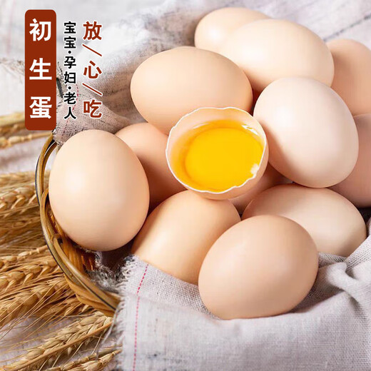 Fresh local eggs, raw eggs, farmhouse free-range local eggs, 15 pieces, 40g single, 40g, 15 pieces Fresh local eggs, raw eggs, farmhouse free-range local eggs, 15 pieces, 40g single, 40g, 15 pieces