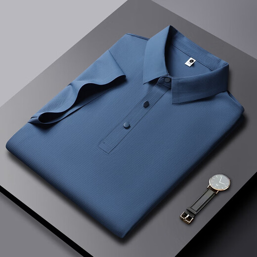NASA Basis Licht Geschäft Traaceless Real Ice Seide Polo Shirt Kühle COOL CASISSLAGELN Dünnes Sweatshirt 12357# Graues Grün xl