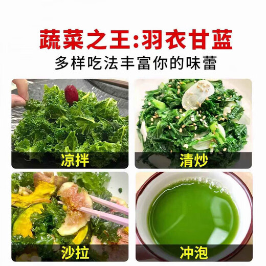 Tianfen kale seeds, four-season balcony cold-resistant edible olive vegetables, easy-to-grow potted high-calcium vegetable seeds in the field, high-nutrition green kale seeds, 10 capsules