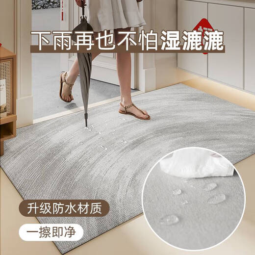 Tlxt Home Floor Mat 2024 Nouvelle sensation de porte à porte épaissie et non glissée Patre-pied domestique Patre d'entrée de la saleté Tapis 15923- 号 1 pièce 60cm * 90 cm