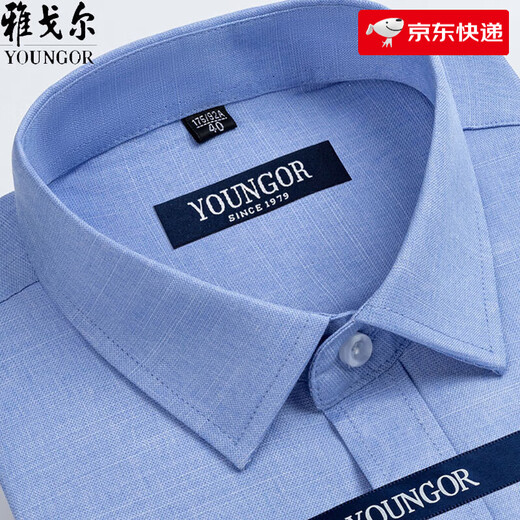 雅戈尔旗舰官方店短袖衬衫男夏季薄款中年商务免烫宽松格子正装衬衣 短袖DX6629 40 建议【115-130斤】