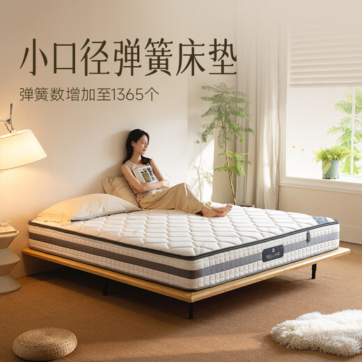 接运猫床垫席梦思硬垫黄麻椰棕十大独立弹簧乳胶软垫家用定制 S2款偏硬升级/22cm黄麻+1365 120cm*190cm *