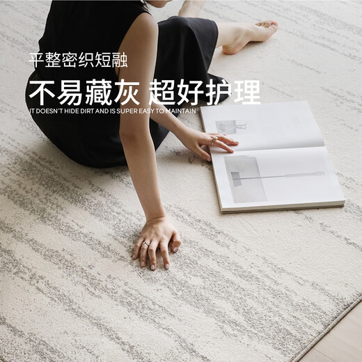 Saibos genuine moonlight gem waterproof glue-free carpet high-end light luxury mid-century style anti-fouling living room sofa cushion 1.9X3M