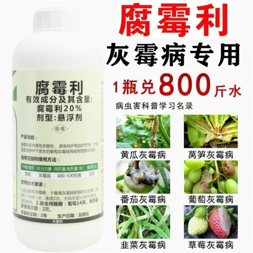 Special medicine for gray mold, procymidol fungicide, epidemic disease, cucumber, leek, tomato, strawberry, grape, fruit tree, gray mold pesticide 1000g