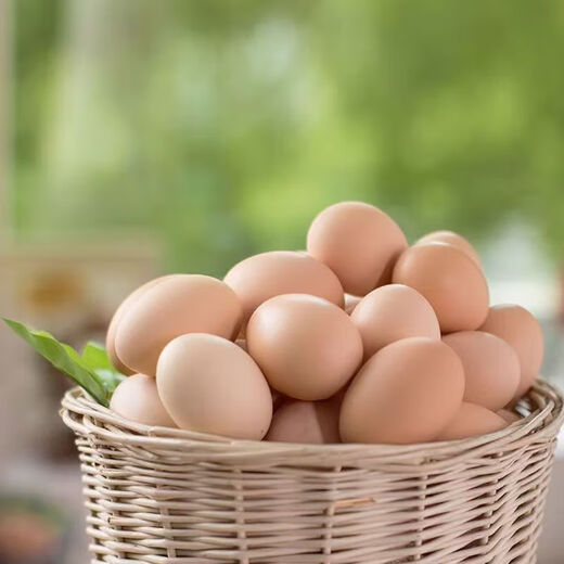 Fresh local eggs, raw eggs, farmhouse free-range local eggs, 15 pieces, 40g single, 40g, 15 pieces Fresh local eggs, raw eggs, farmhouse free-range local eggs, 15 pieces, 40g single, 40g, 15 pieces