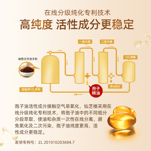 Xianzhilou Ganoderma lucidum spore öl weichkapseln gebrochen wand ganoderma lucidum spore pulver Essenz verstärkt Immunität hohe Triterpene Empfohlene Geschenke 1 Kasten 15 g 30 Kapseln [32% der gemessenen Triterpenen]