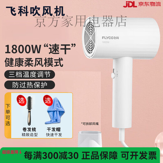 2025 NOUVEAU MÉNAGNE HAUTE puissance haute puissance éolienne Ion négatif à faible bruit Ménage de la maison Température constante Soins de cheveux sans dommage Sèche de cheveux Sécheur Green Fh6296 + Cass de cheveux secs Séchage des cheveux longs