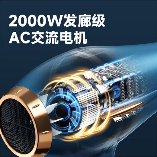 AUX barber shop dedicated 2000W hair dryer high-power home hair drying quick-drying hair dryer professional hair salon-grade negative ion hair care three-plug hair dryer with high wind power 100 million negative ion hair care three-plug high-power hair dryer