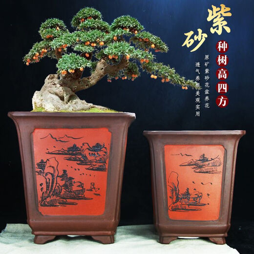 Yixing Purple Clay Flower Pot épaissie et super grand bonsaï carré haut plantant de la forme de pile Old Pile Orchid Pot de fleur en céramique 967 grande taille
