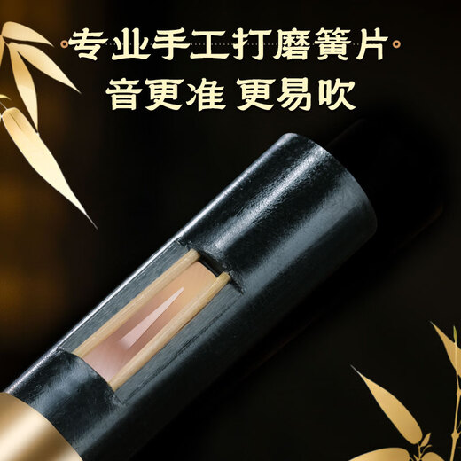 Golden Peacock Ebony Hound Silk C-Tune Élève d'écoles primaires spéciaux Adultes Adultes B-Tune B-Tune Performance Performance Store Musical Instruments de musique [Glossy Hound Ebony Tube] D-Tune + Giveaway