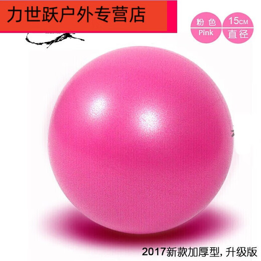 Shantou Lincun* Mini Yoga Ball Pilates Ball 15 20 25 30 40 Balance Fitness Gymnastics Ball 20 Green 15 Red Thickened + Blowing Tube