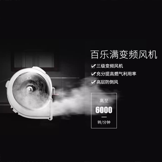百乐满（Paloma）JSW30-1616AWWC/2020AWWC燃气热水器户外式室外机日本进口16/20升 26L 【2602BCW+690AS零冷水套装】